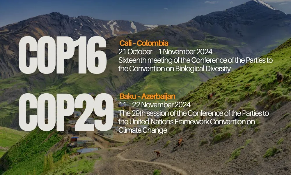 image of Azerbaijan in the background with COP16 and COP29 as text