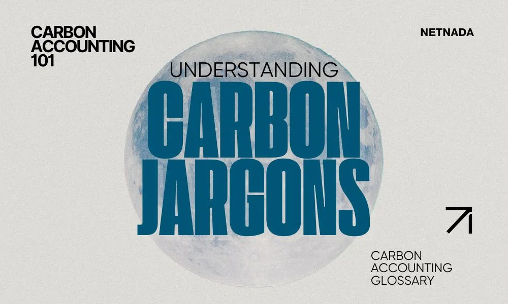 image of article title on beige background entitled carbon jargons carbon accounting glossary