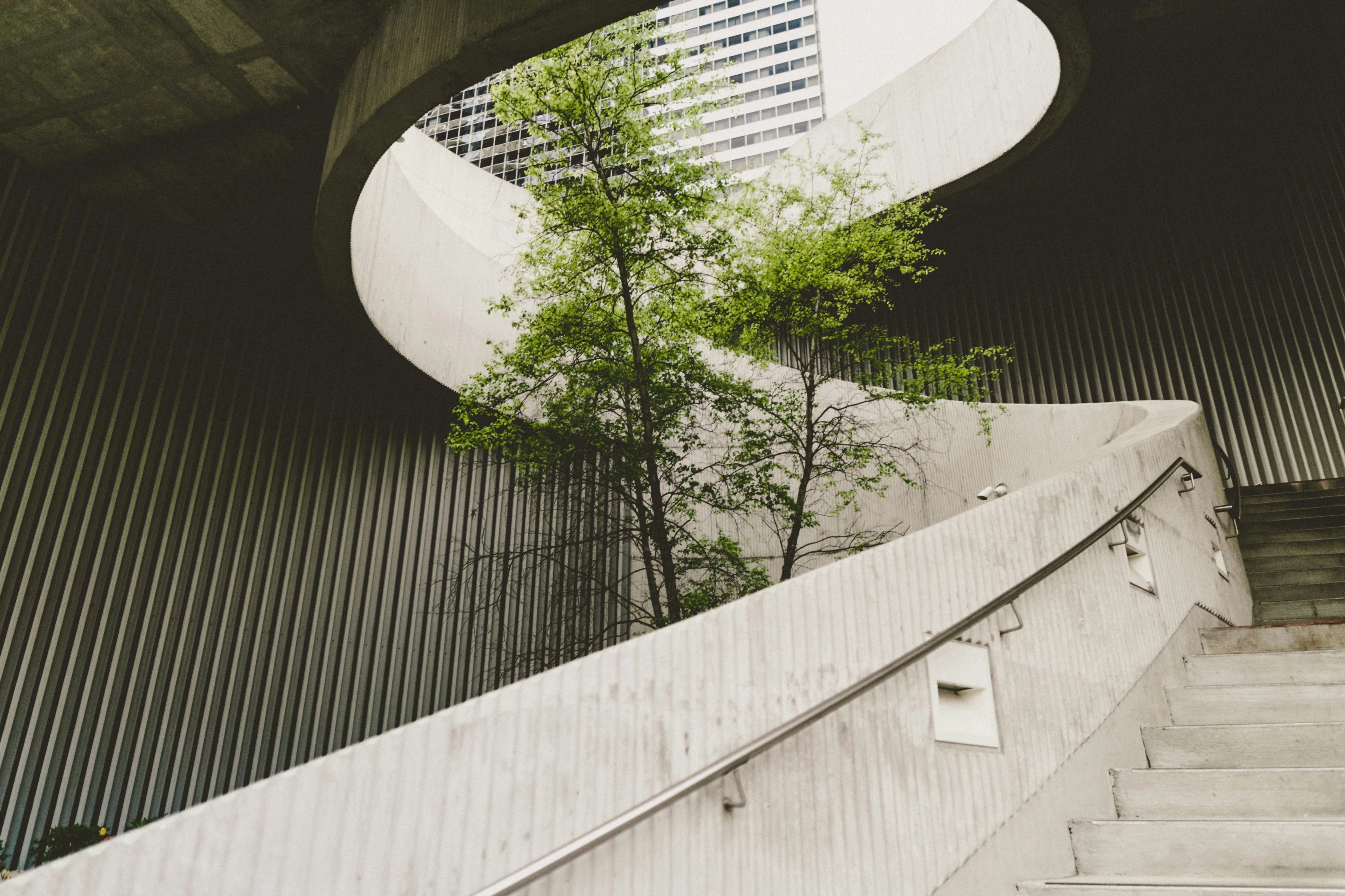 image of interior of building with stairs and a green tree