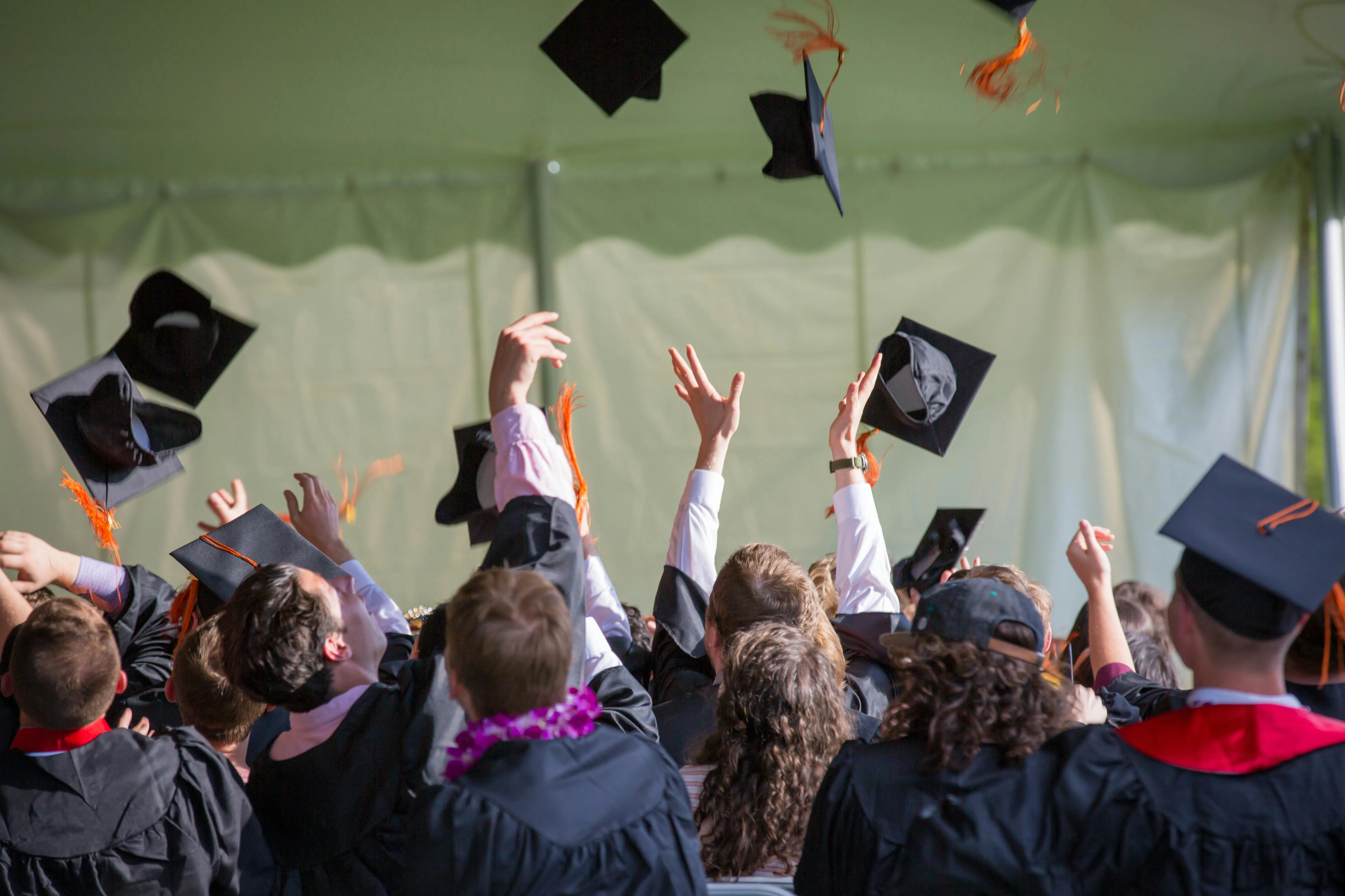 image of graduation caps in the air and education sector
