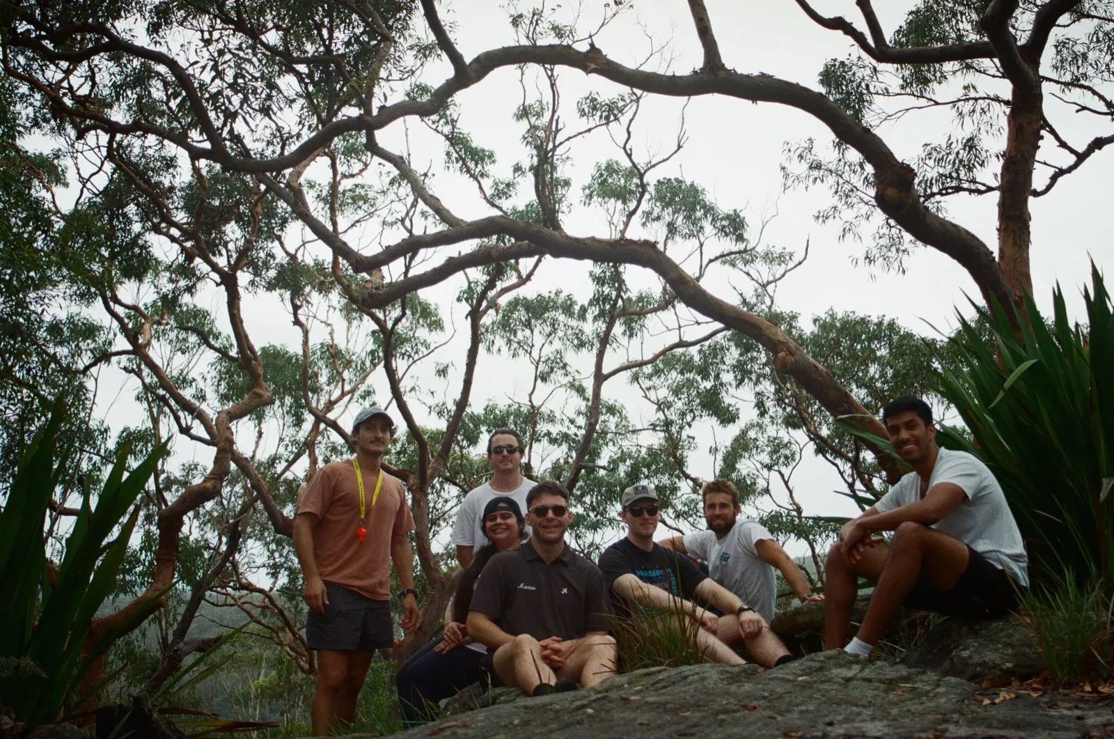 The team resting under gum trees on a bushwalk
