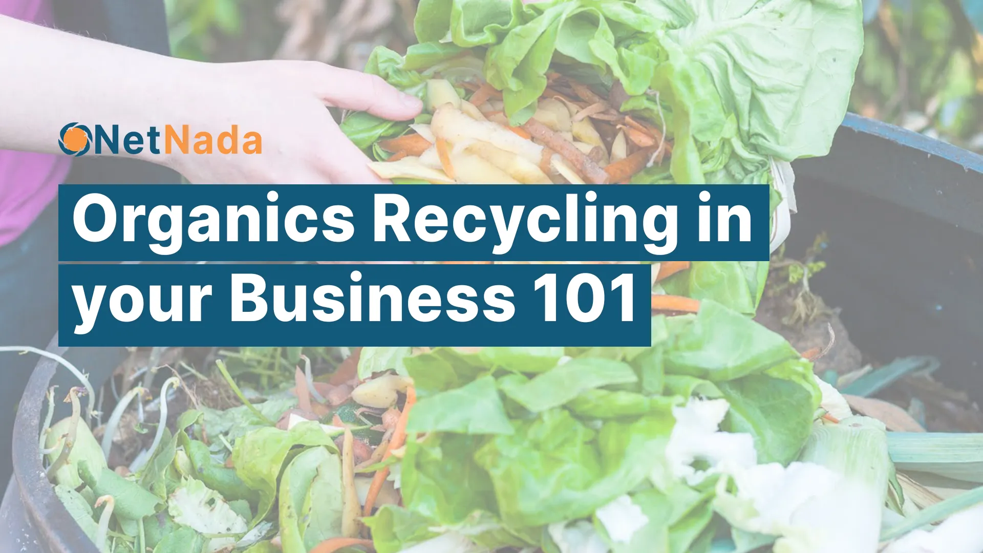 Organics Recycling in your Business 101: How to Properly Recycle Food Waste