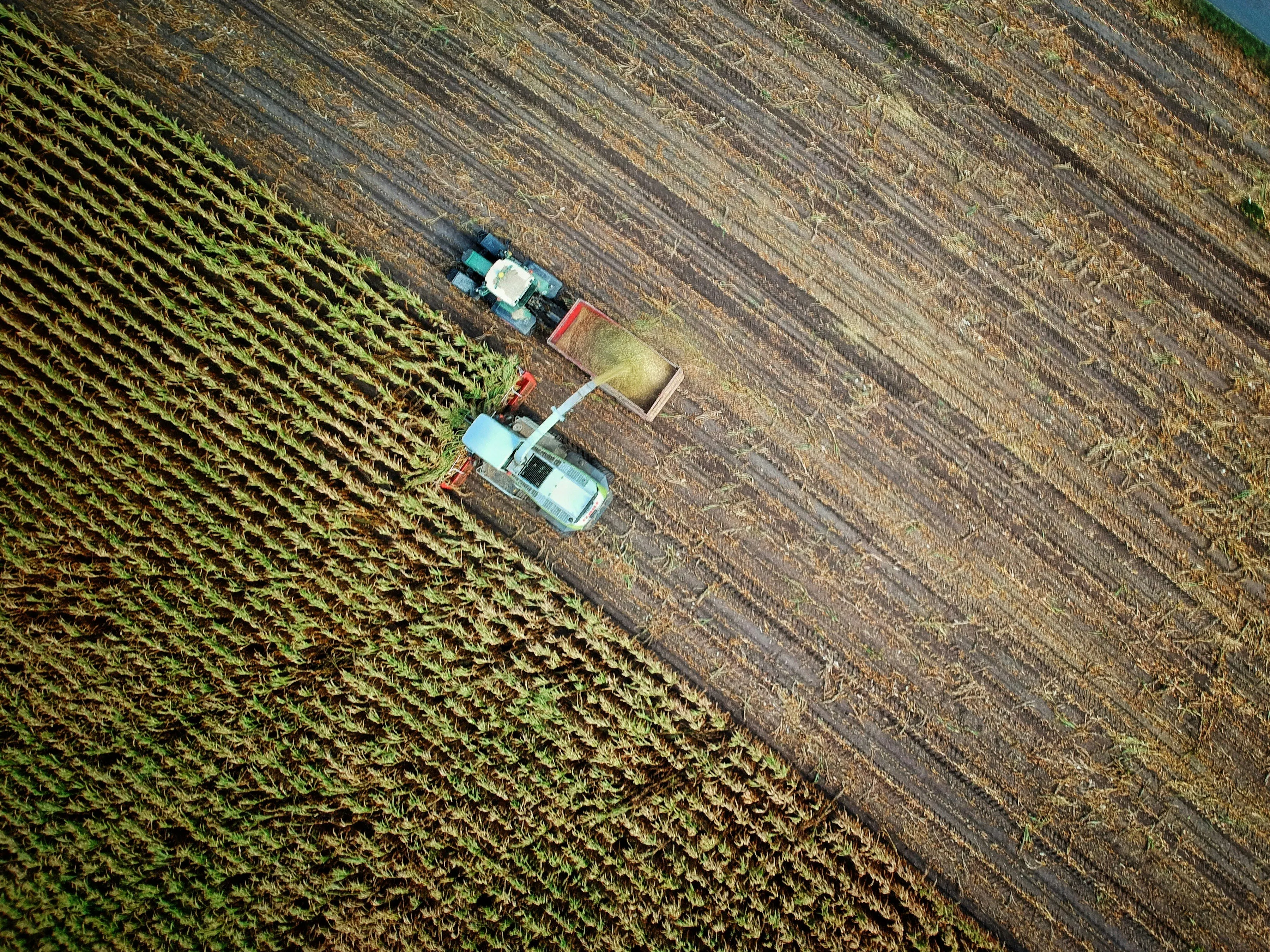 image of a tractor grazing crops and agriculture