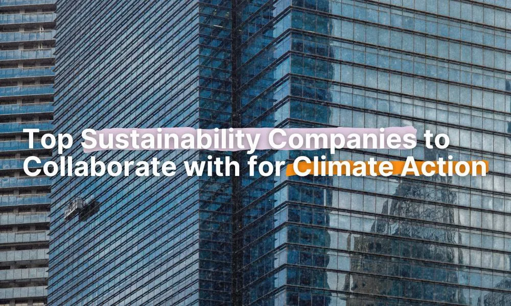 top sustainability companies for partnership or collaboration 