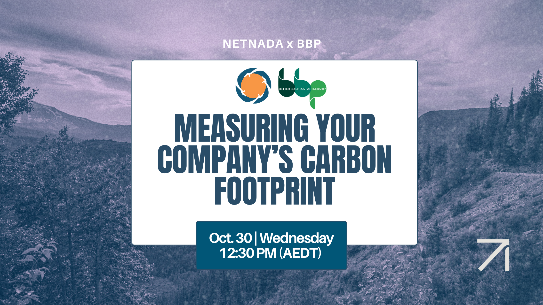 NetNada x Better Business Partnership (BBP) - Measuring Your Company's Carbon Footprint